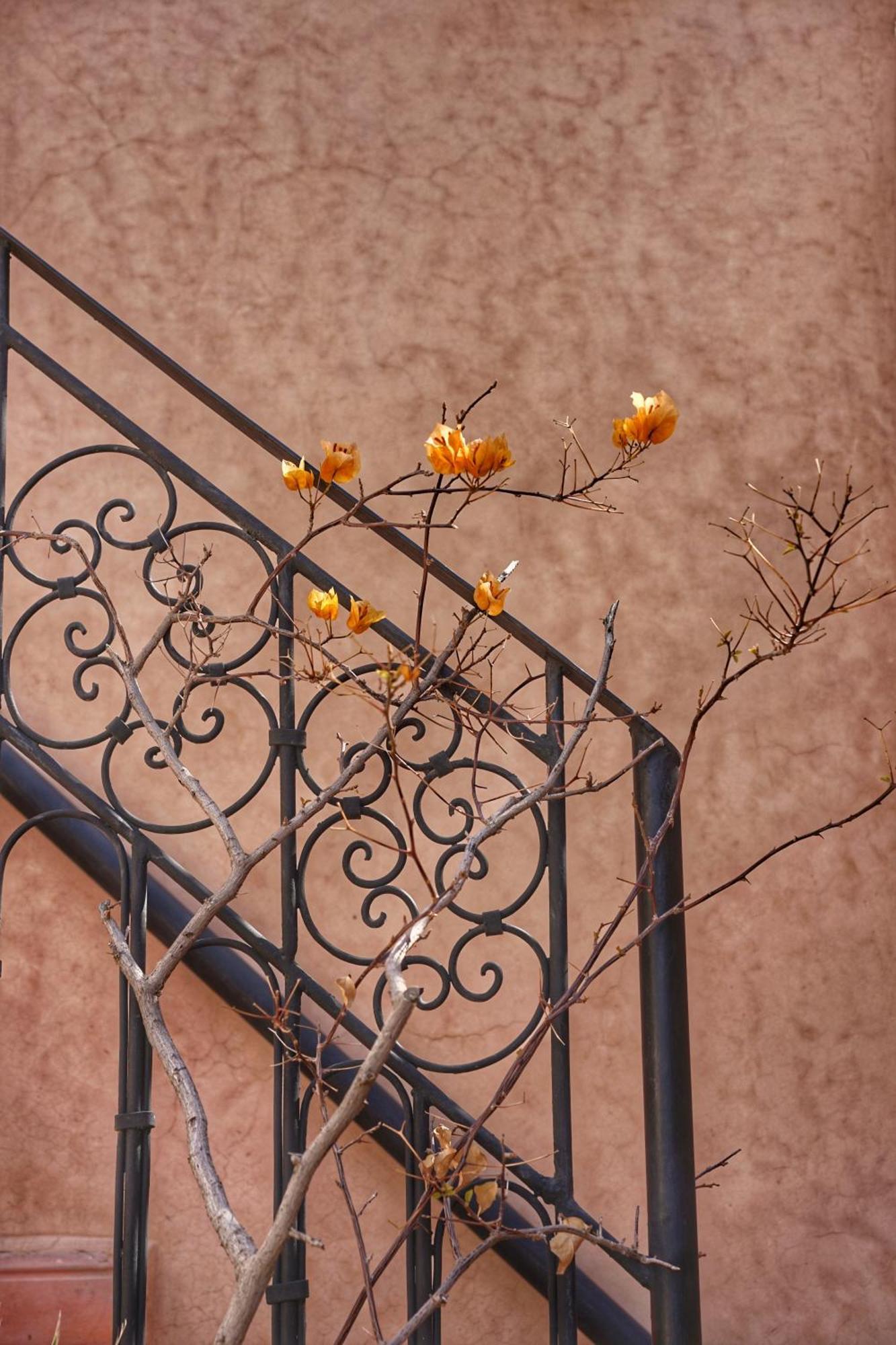 Dar Al Amal Bed & Breakfast Marrakesh